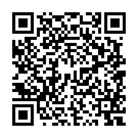 QR code for QZP4851