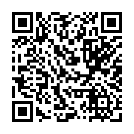 QR code for QZQ995