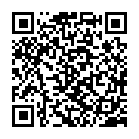 QR code for QZX371