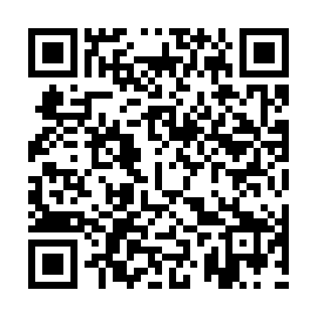 QR code for QZY389
