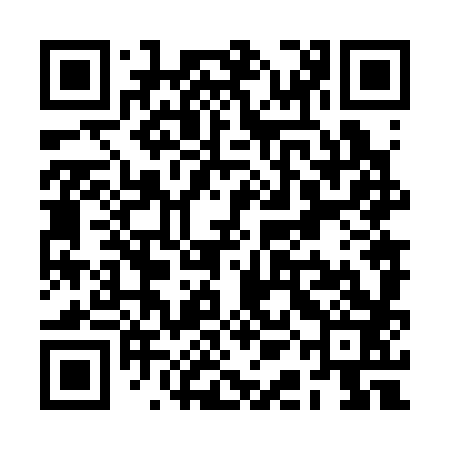 QR code for RAN383