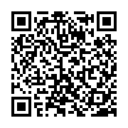 QR code for RAW228
