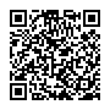 QR code for RCG411
