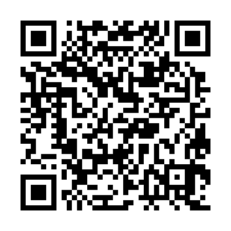 QR code for RDG383
