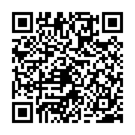 QR code for REU0375