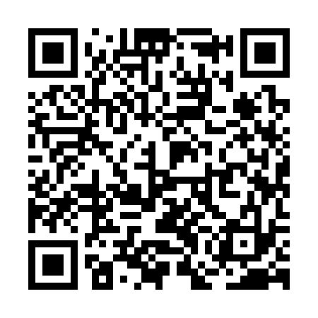 QR code for RGI333