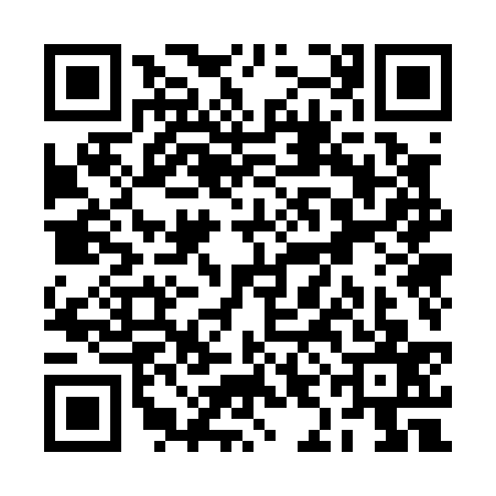 QR code for RIO0379