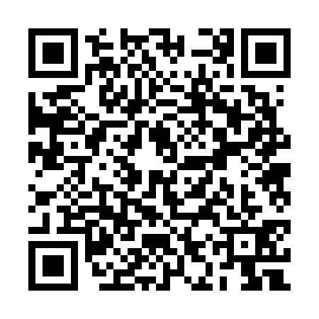 QR code for RIR6319