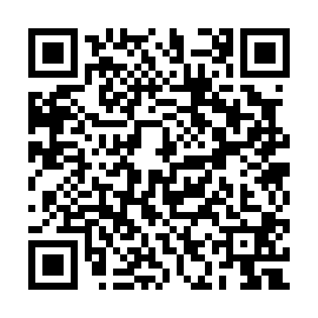 QR code for RIS0003