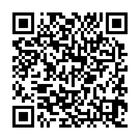 QR code for ROD381