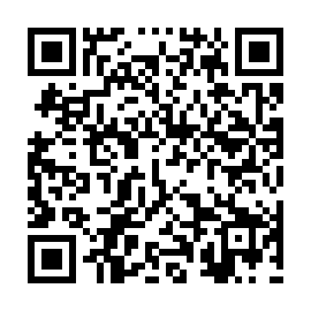 QR code for RPI389