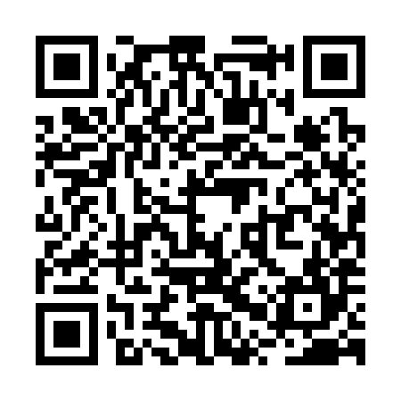 QR code for RPU384