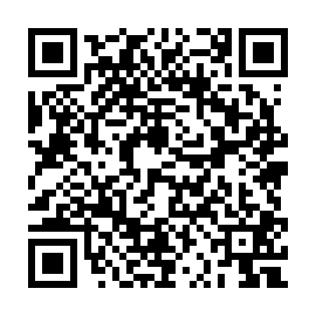 QR code for RRM2011