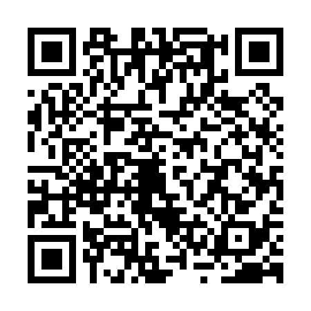 QR code for RSE0383