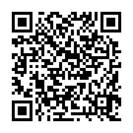 QR code for RSI384