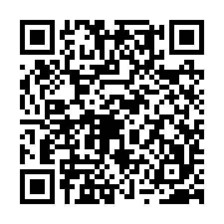 QR code for RUI2965