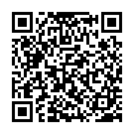 QR code for RUM383