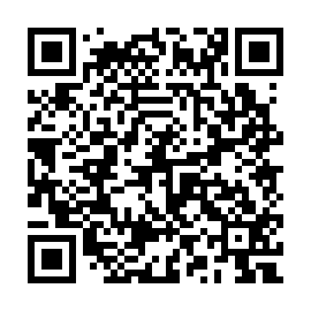 QR code for RYP313