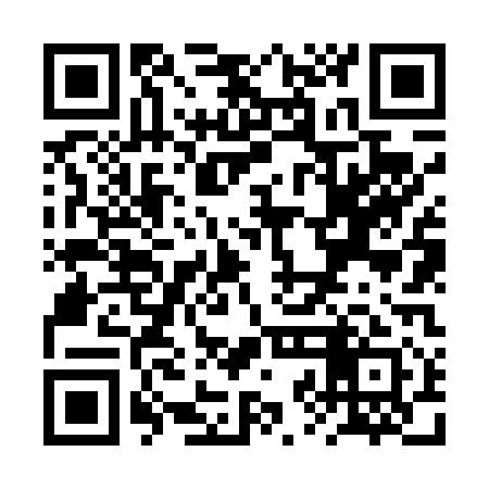 QR code for RZN411