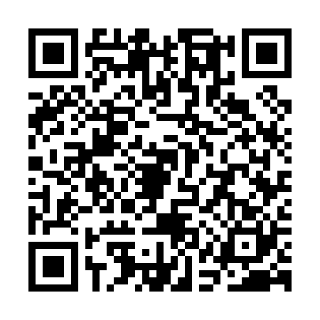 QR code for SAW0202