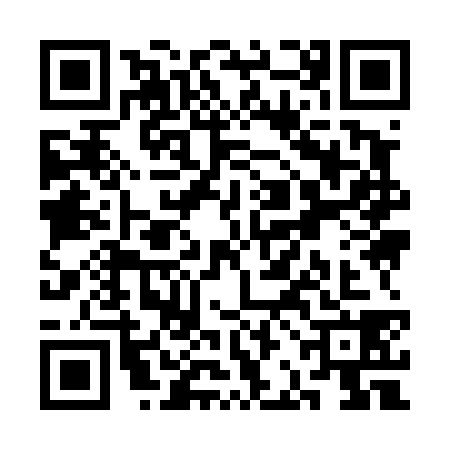 QR code for SBI4381
