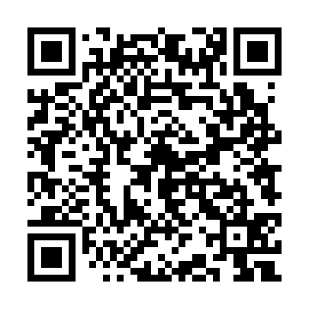 QR code for SBT335