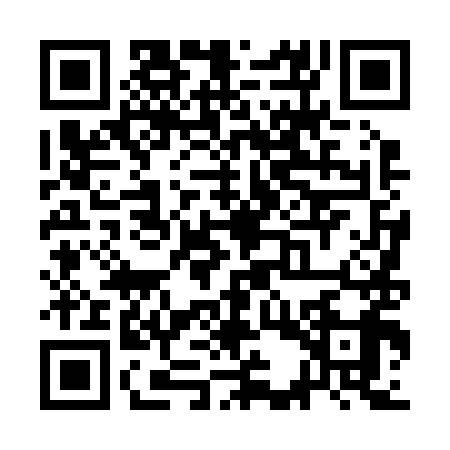 QR code for SCT2994
