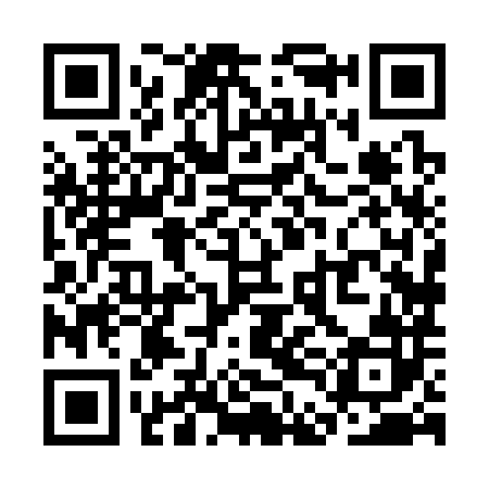 QR code for SDH382