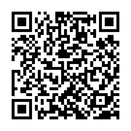 QR code for SEG638