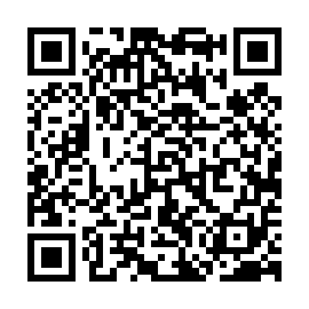 QR code for SGD451