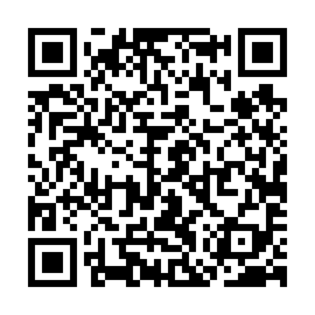 QR code for SGT699