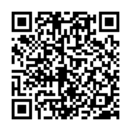 QR code for SII3994