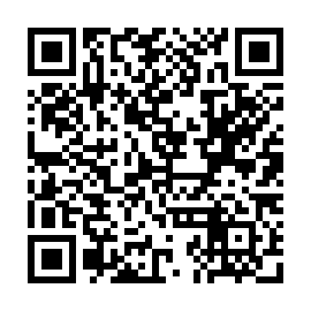 QR code for SJF381