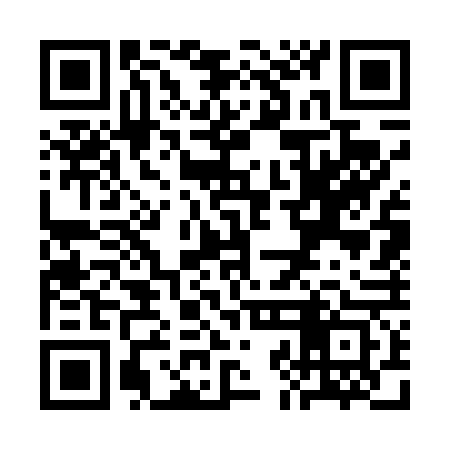 QR code for SJG463
