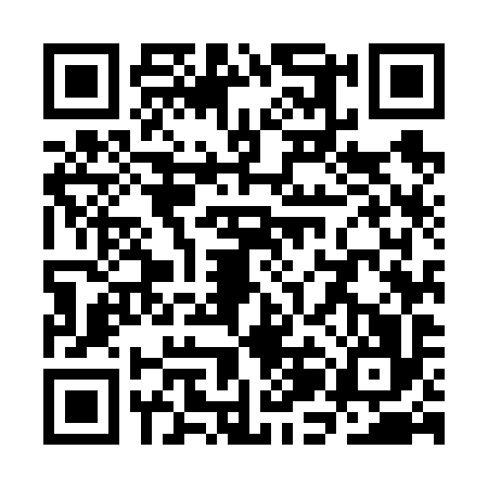 QR code for SJM6963