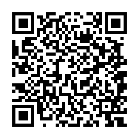QR code for SJV4968