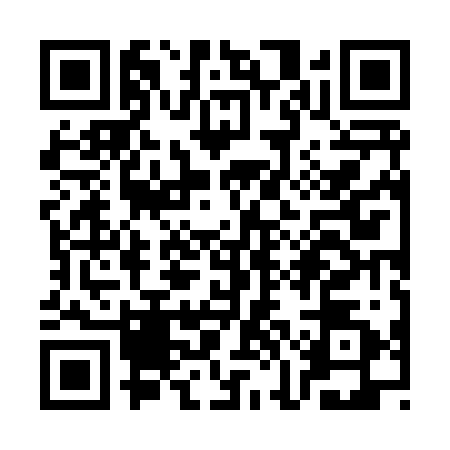 QR code for SKJ8228