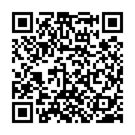 QR code for SMI539