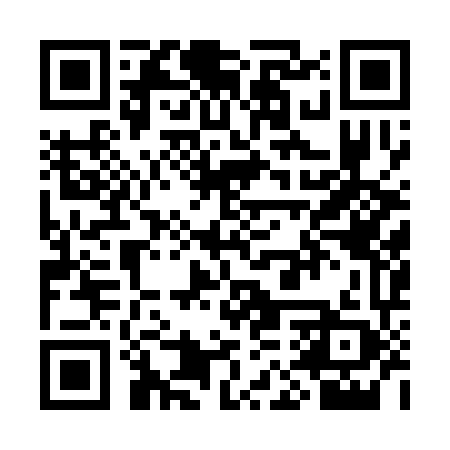 QR code for SMQ369