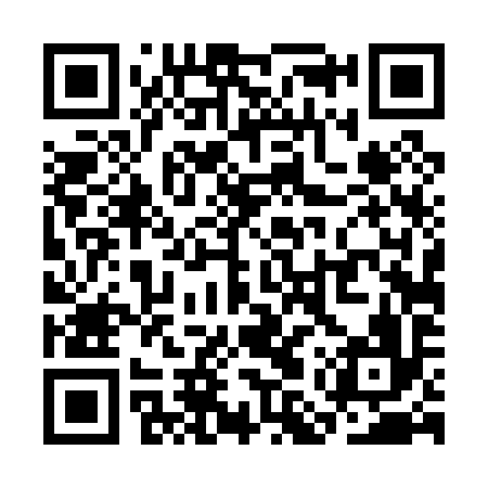 QR code for SMT096