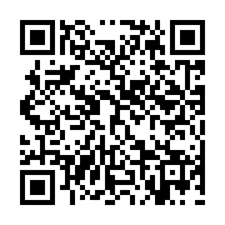 QR code for SNA963