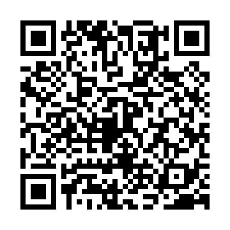 QR code for SNI0393