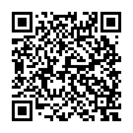 QR code for SNO383