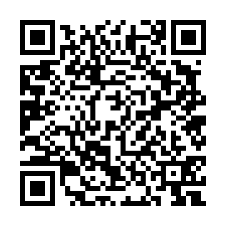 QR code for SOG4313