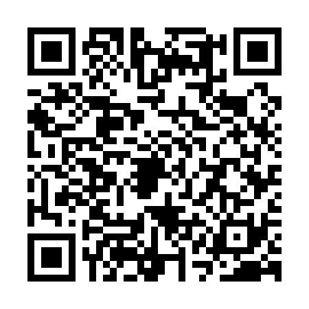 QR code for SQG1317