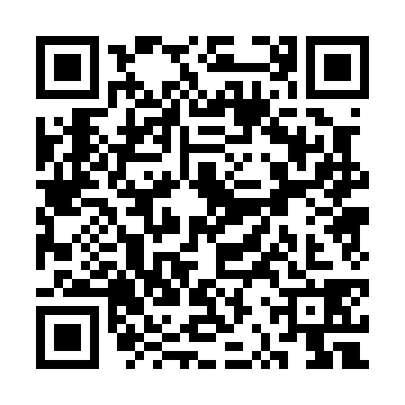 QR code for SRP0384