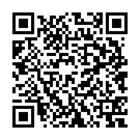QR code for STT6313