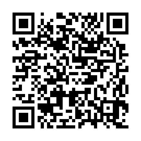 QR code for SUR383