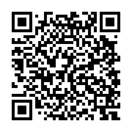 QR code for SVF041