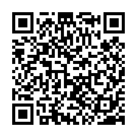 QR code for SVG411